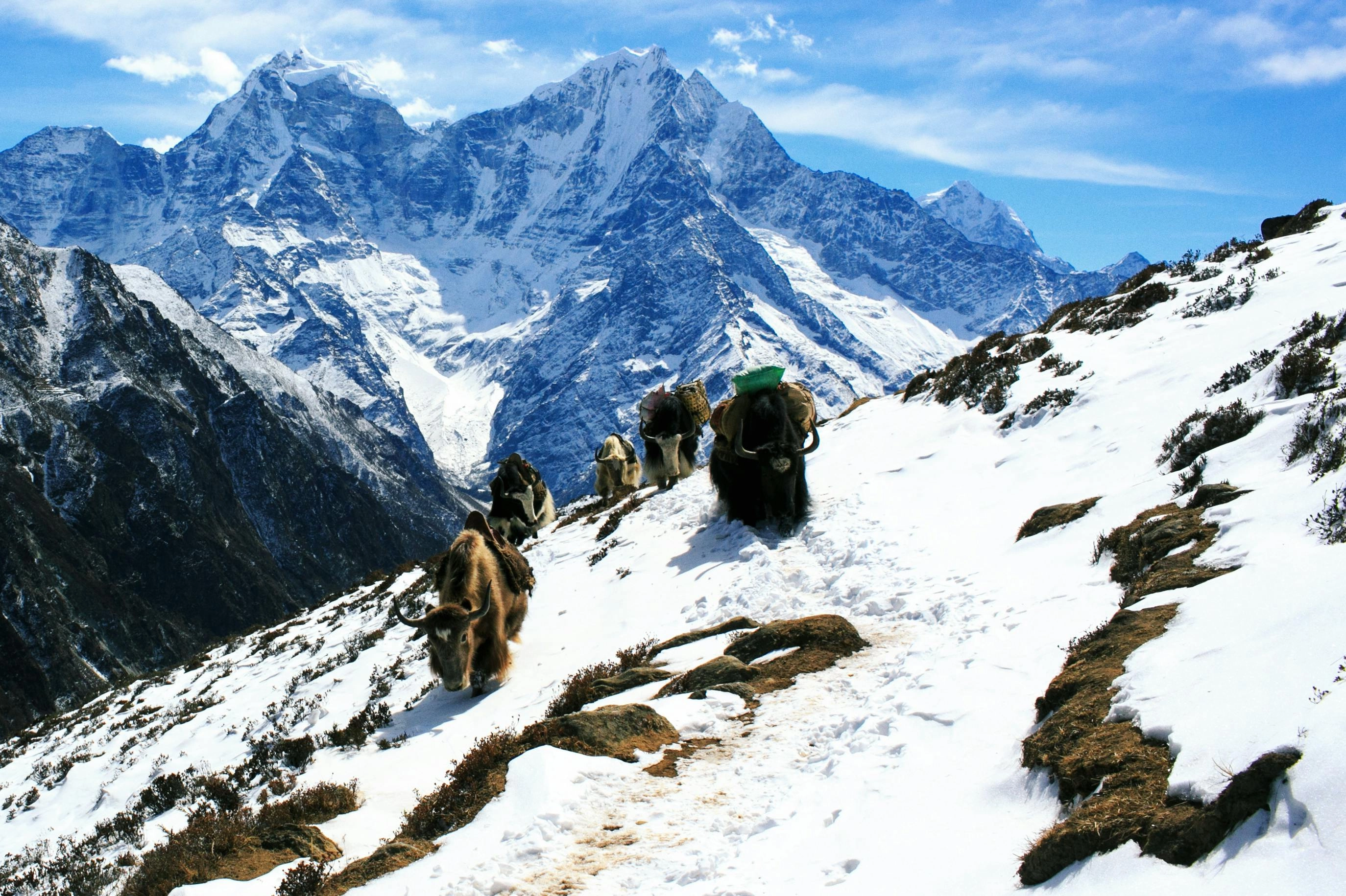 Rara Lake Trek