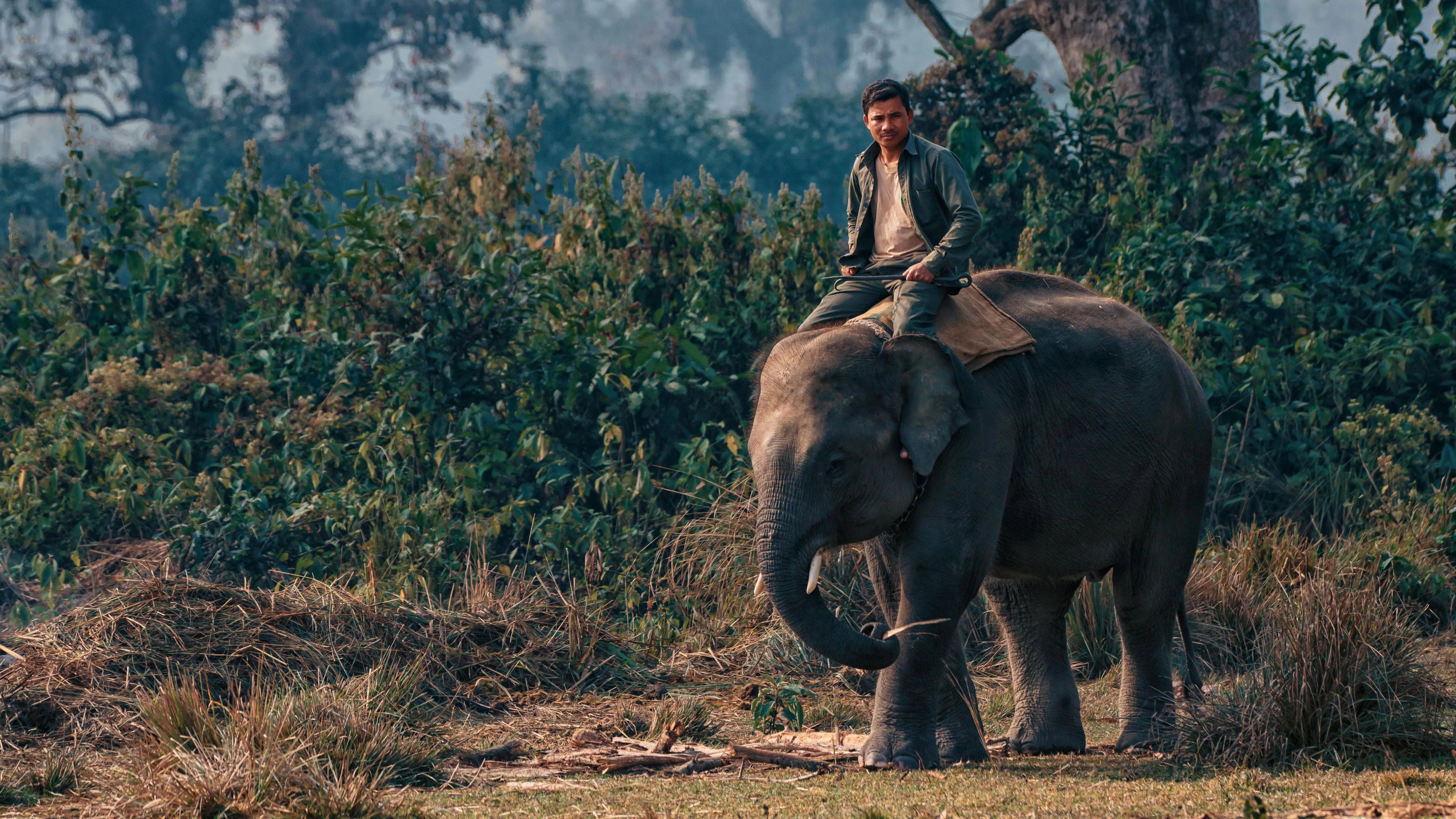 Chitwan Jungle Safari